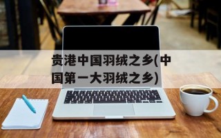 贵港中国羽绒之乡(中国第一大羽绒之乡)