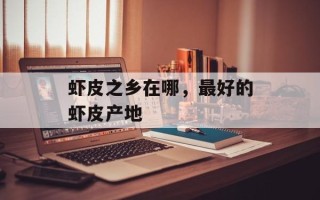 虾皮之乡在哪，最好的虾皮产地