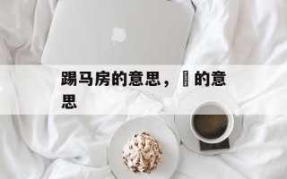 踢马房的意思，睱的意思