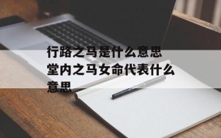 行路之马是什么意思 堂内之马女命代表什么意思
