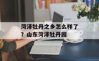 菏泽牡丹之乡怎么样了？山东菏泽牡丹园