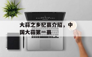大蒜之乡杞县介绍，中国大蒜第一县
