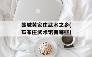 藁城黄家庄武术之乡(石家庄武术馆有哪些)