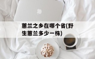 蕙兰之乡在哪个省(野生蕙兰多少一株)
