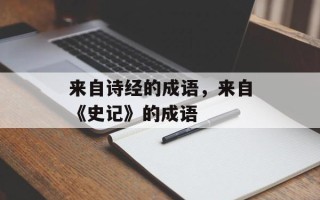 来自诗经的成语，来自《史记》的成语