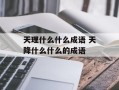 天理什么什么成语 天降什么什么的成语