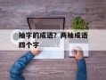 袖字的成语？两袖成语四个字