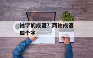 袖字的成语？两袖成语四个字