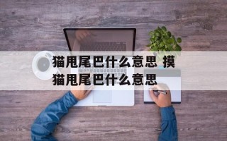 猫甩尾巴什么意思 摸猫甩尾巴什么意思