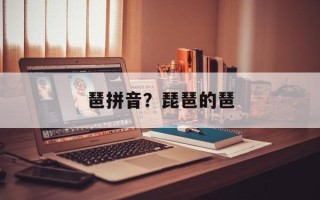 琶拼音？琵琶的琶
