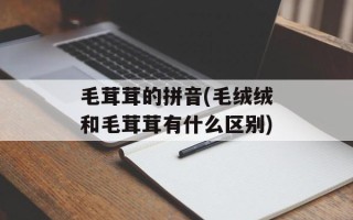 毛茸茸的拼音(毛绒绒和毛茸茸有什么区别)