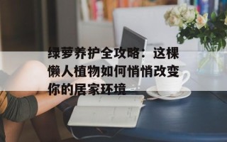 绿萝养护全攻略：这棵懒人植物如何悄悄改变你的居家环境