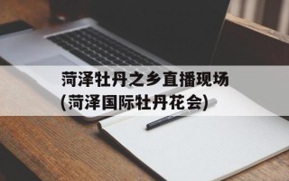菏泽牡丹之乡直播现场(菏泽国际牡丹花会)