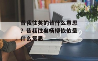 昔我往矣的昔什么意思？昔我往矣杨柳依依是什么意思