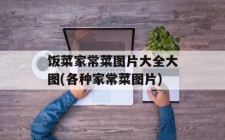 饭菜家常菜图片大全大图(各种家常菜图片)