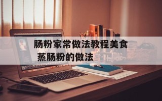 肠粉家常做法教程美食 蒸肠粉的做法