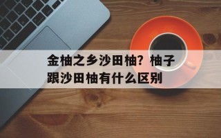 金柚之乡沙田柚？柚子跟沙田柚有什么区别