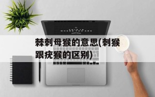 棘刺母猴的意思(刺猴跟疣猴的区别)