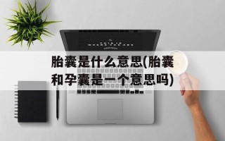 胎囊是什么意思(胎囊和孕囊是一个意思吗)