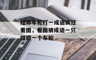 螳螂车轮打一成语疯狂看图，看图猜成语一只螳螂一个车轮