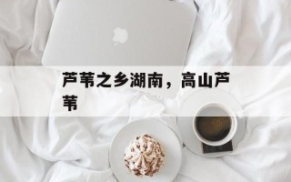 芦苇之乡湖南，高山芦苇