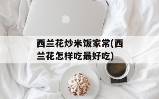 西兰花炒米饭家常(西兰花怎样吃最好吃)