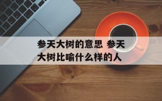 参天大树的意思 参天大树比喻什么样的人