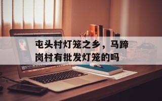 屯头村灯笼之乡，马蹄岗村有批发灯笼的吗