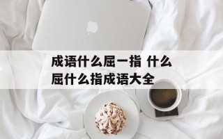 成语什么屈一指 什么屈什么指成语大全