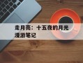 走月亮：十五夜的月光漫游笔记