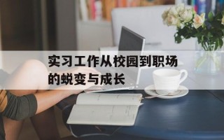 实习工作从校园到职场的蜕变与成长