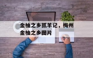 金柚之乡抓羊记，梅州金柚之乡图片