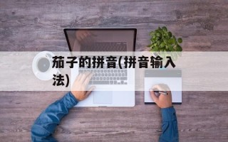 茄子的拼音(拼音输入法)