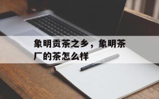 象明贡茶之乡，象明茶厂的茶怎么样