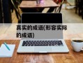 真实的成语(形容实际的成语)