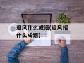 迎风什么成语(迎风招什么成语)