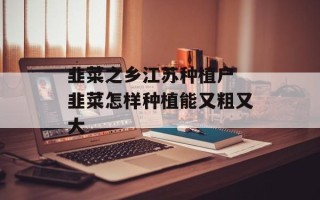 韭菜之乡江苏种植户 韭菜怎样种植能又粗又大