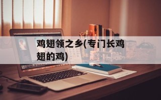 鸡翅领之乡(专门长鸡翅的鸡)