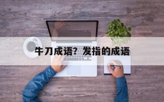 牛刀成语？发指的成语