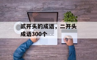 贰开头的成语，二开头成语300个