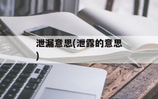 泄漏意思(泄露的意思)