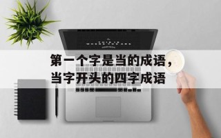 第一个字是当的成语，当字开头的四字成语