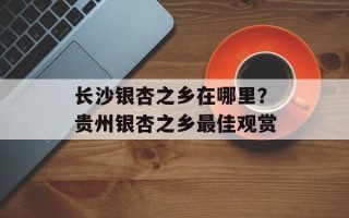 长沙银杏之乡在哪里？贵州银杏之乡最佳观赏