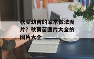 秋葵幼苗的家常做法图片？秋葵苗图片大全的图片大全