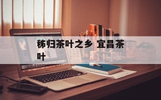 秭归茶叶之乡 宜昌茶叶
