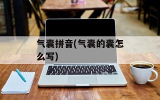 气囊拼音(气囊的囊怎么写)