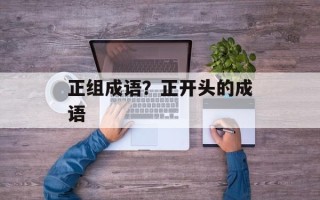 正组成语？正开头的成语