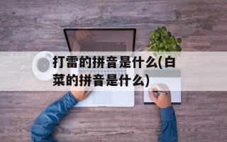 打雷的拼音是什么(白菜的拼音是什么)