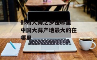郑州大蒜之乡是哪里 中国大蒜产地最大的在哪里
