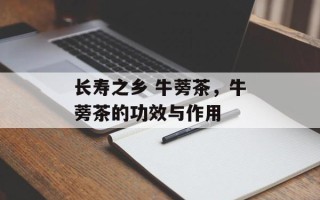 长寿之乡 牛蒡茶，牛蒡茶的功效与作用